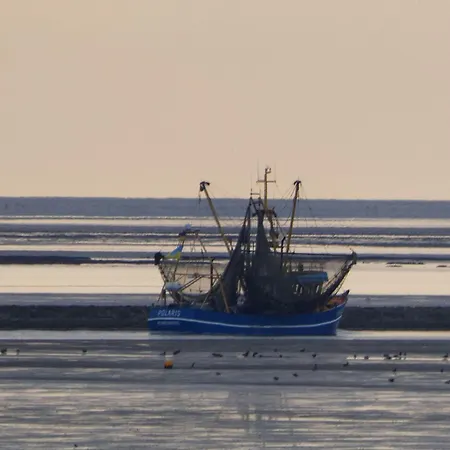 Ebbe - Gemütlicher Rückzugsort In Ruhiger Siedlungslage! *