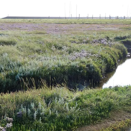 Ferienwohnung-ebbe-gemuetlicher-rueckzugsort-in-ruhiger-siedlungslage Neuharlingersiel